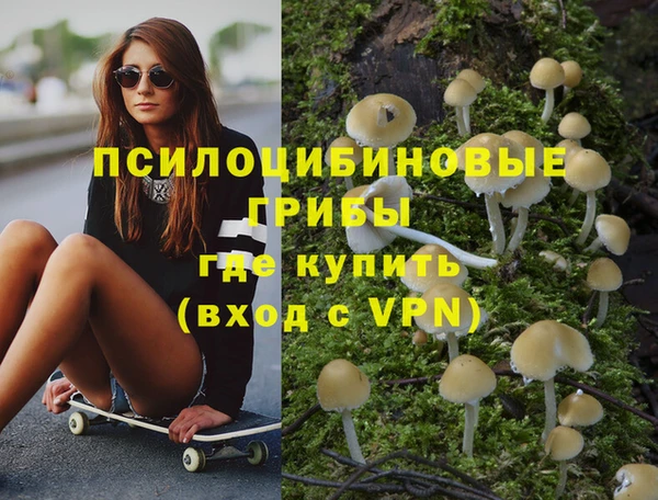гидра Абинск